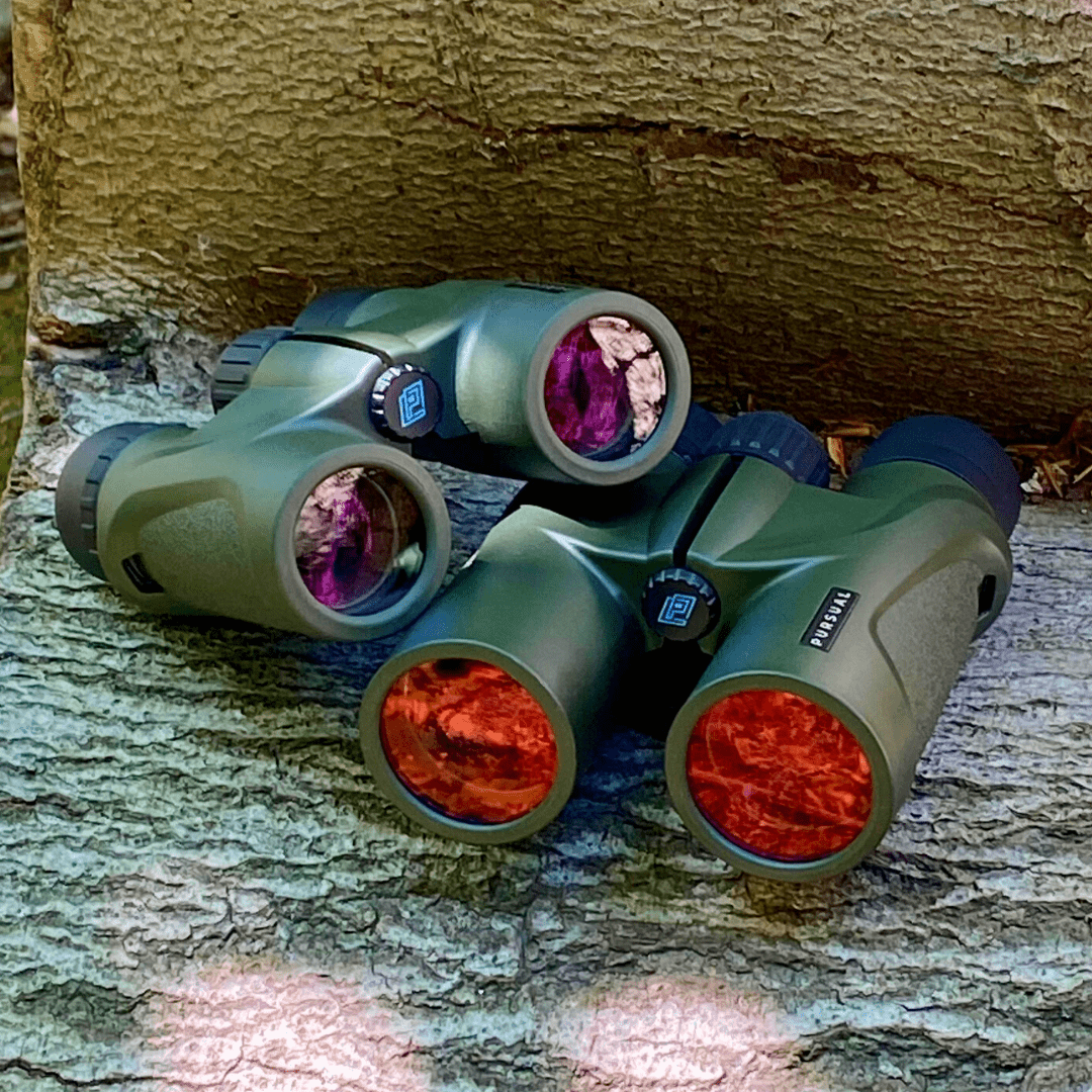 Introduction to Binoculars - Pursual