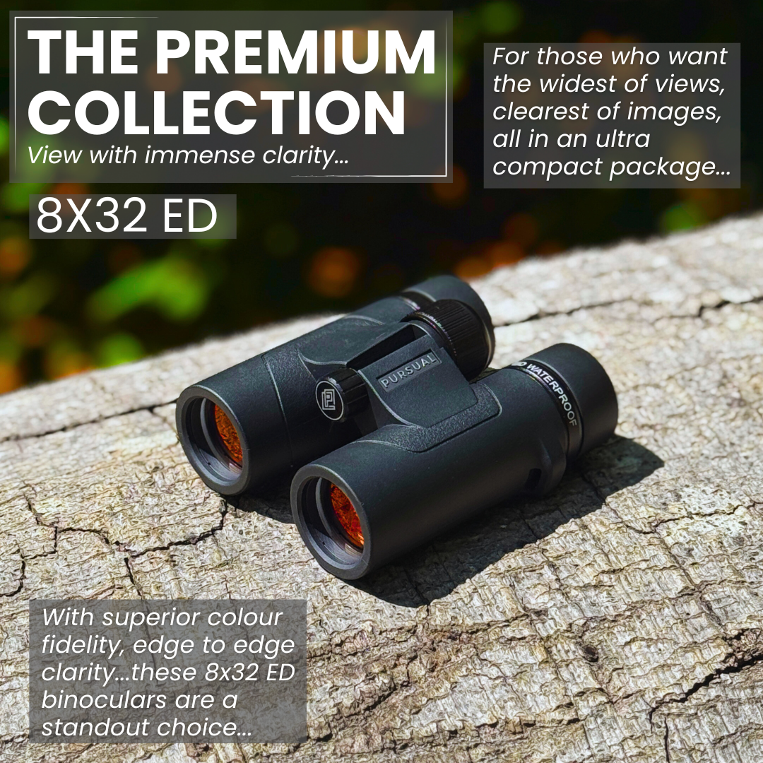 ECHOBIRD 8x32 ED Binoculars