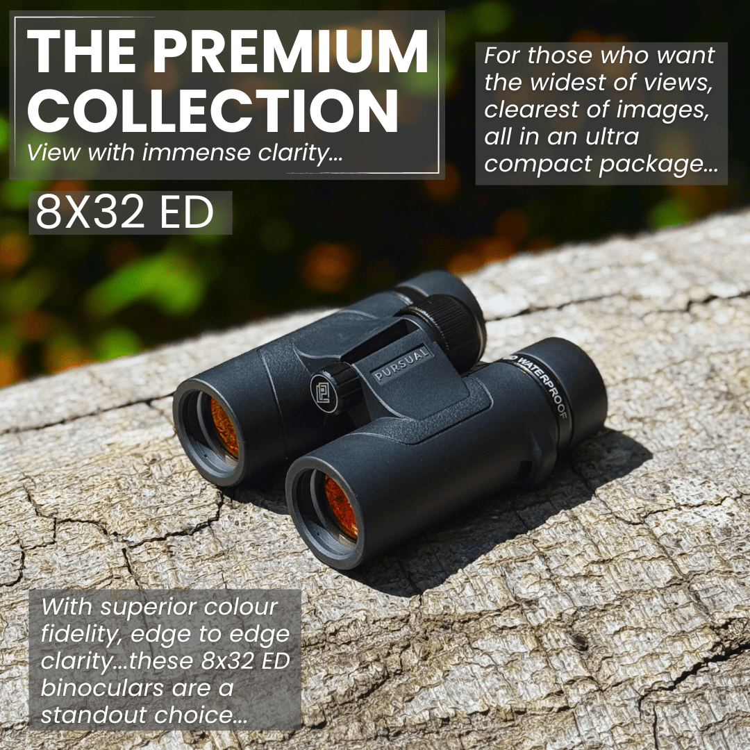 ECHOBIRD 8x32 ED Binoculars - Pursual