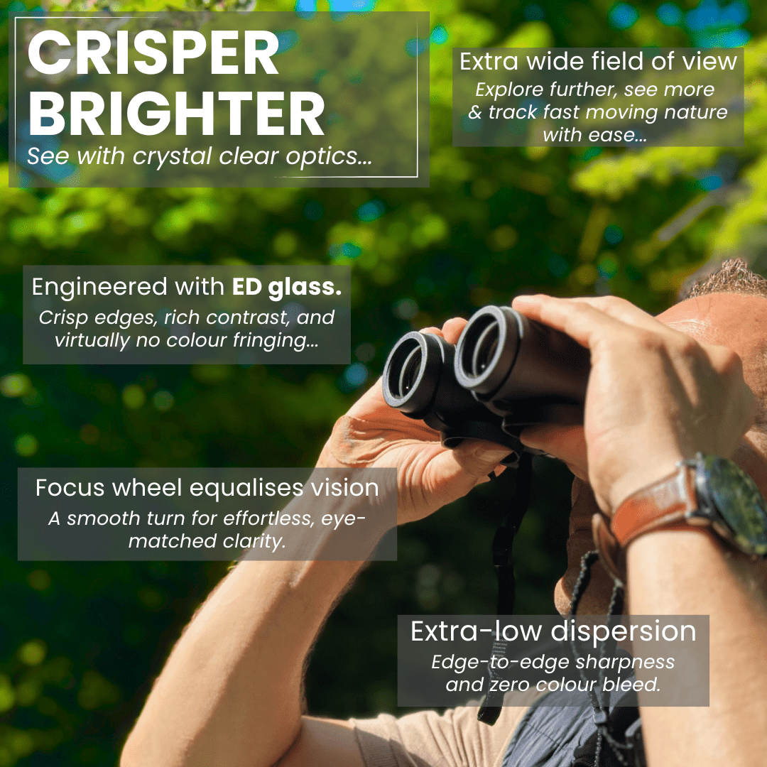 ECHOBIRD 8x32 ED Binoculars - Pursual