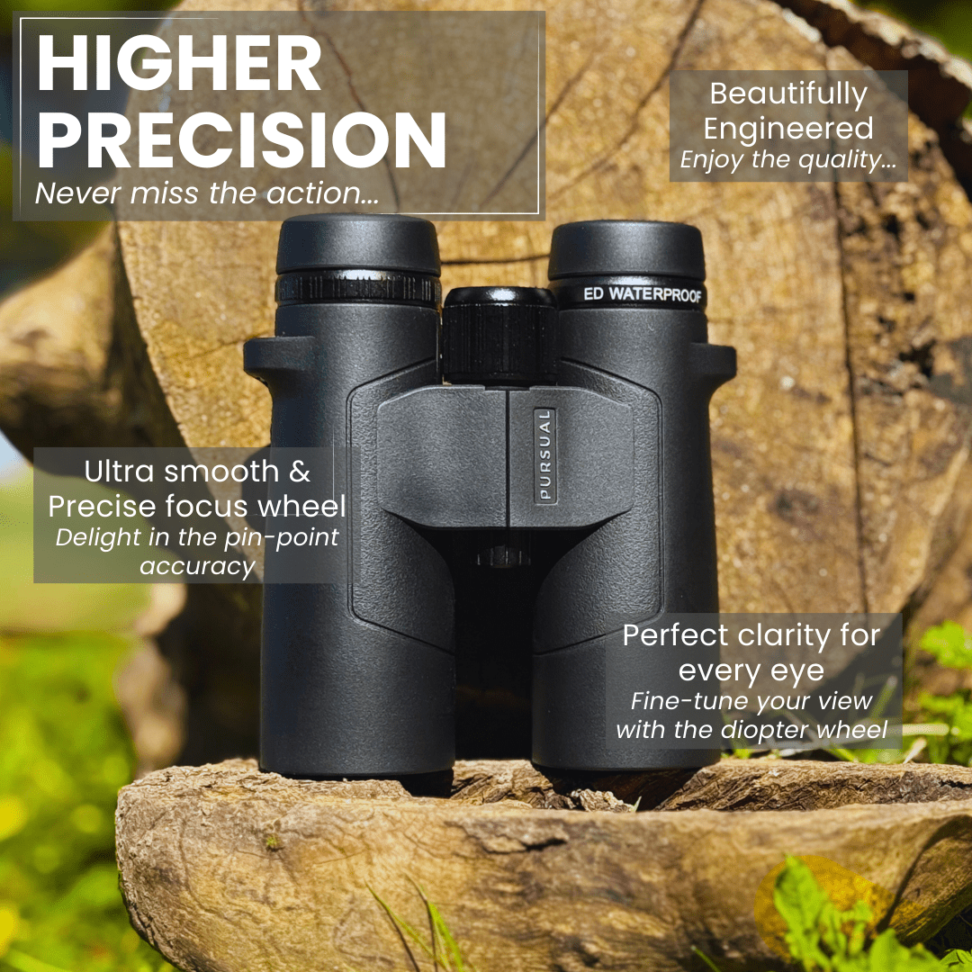 ECHOBIRD 10x42 ED Binoculars - Pursual