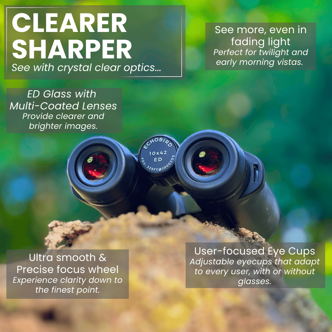 ECHOBIRD 10x42 ED Binoculars - Pursual