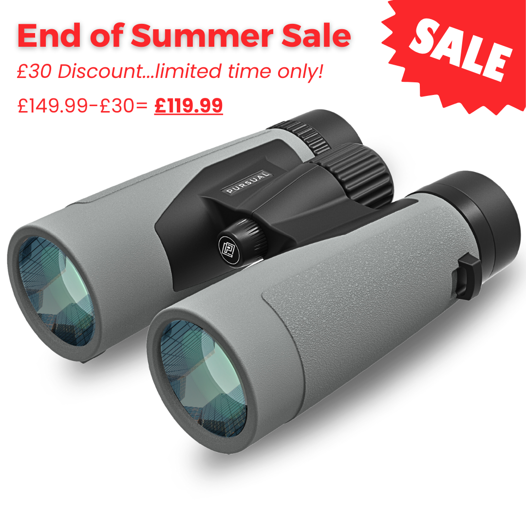 PROTOBIRD 10x42 HD Binoculars in Urban Grey