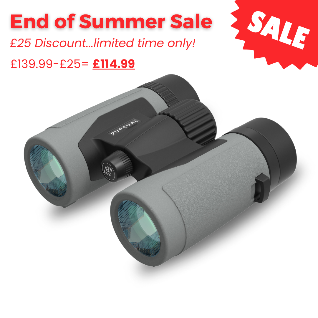 PROTOBIRD 8x32 HD Binoculars in Urban Grey