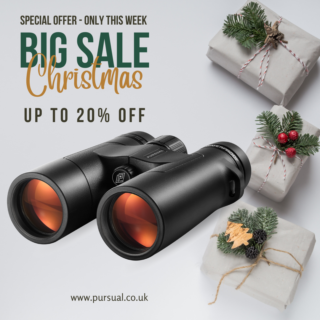 ECHOBIRD 10x42 ED Binoculars