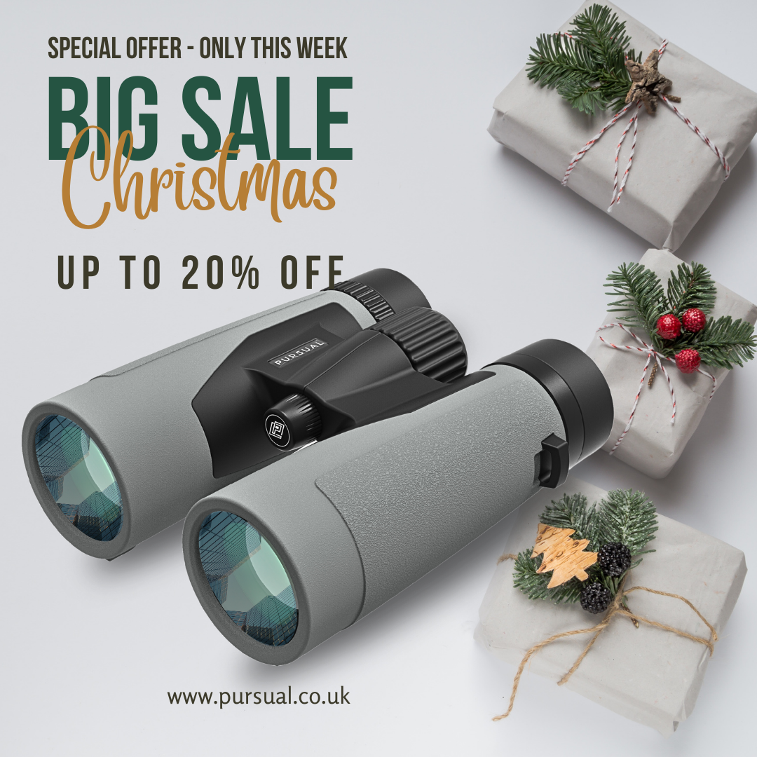 PROTOBIRD 10x42 HD Binoculars in Urban Grey