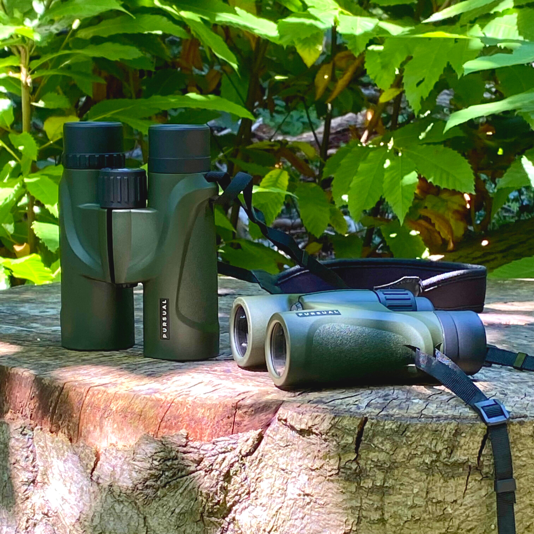 FOREFRONT 8x32 HD Binoculars in Forest Green