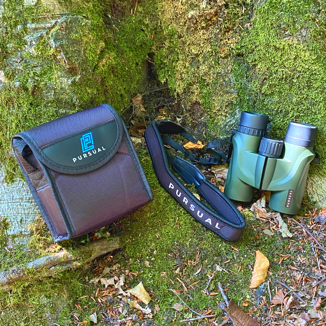 FOREFRONT 8x32 HD Binoculars in Forest Green