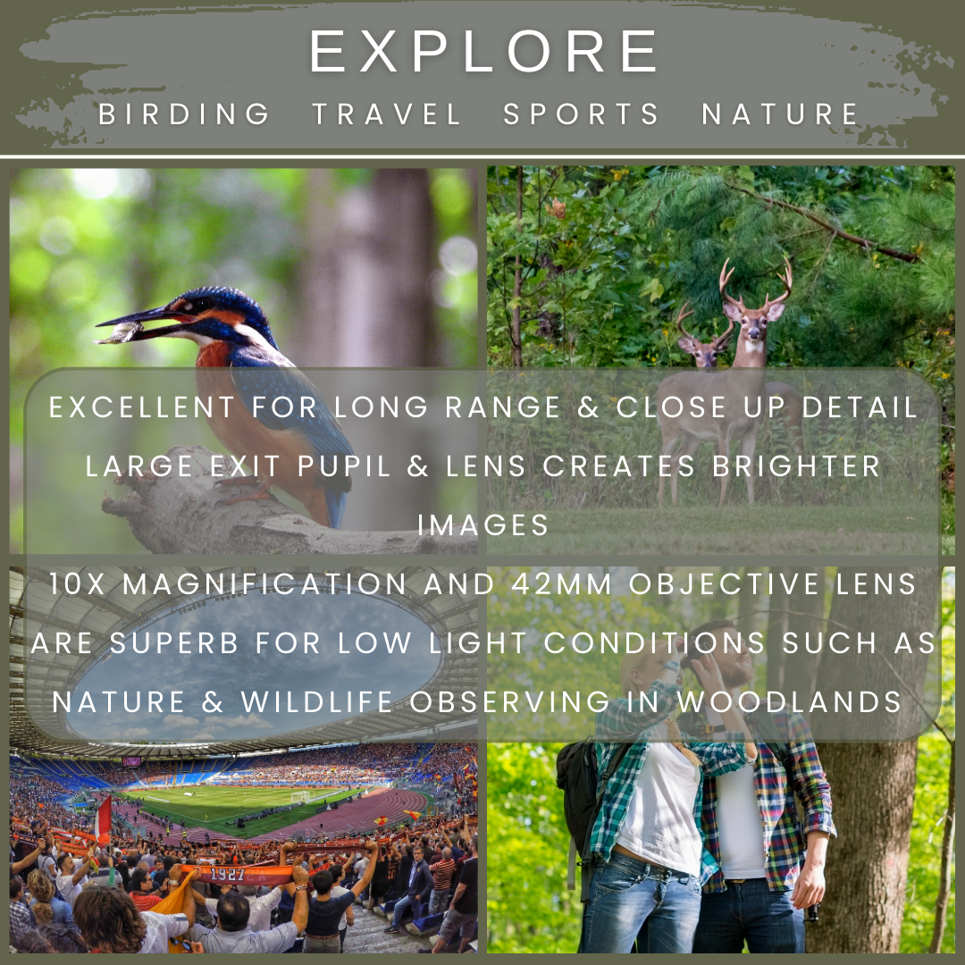 FOREFRONT 10x42 HD Binoculars in Forest Green