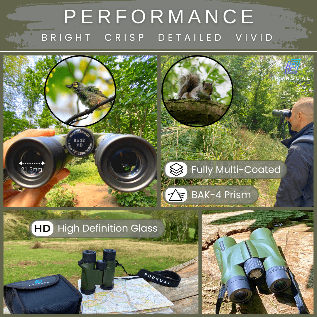 FOREFRONT 8x32 HD Binoculars in Forest Green - Pursual