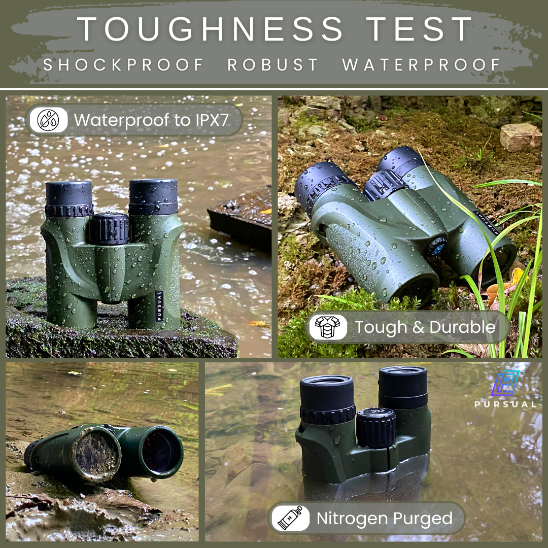 FOREFRONT 8x32 HD Binoculars in Forest Green