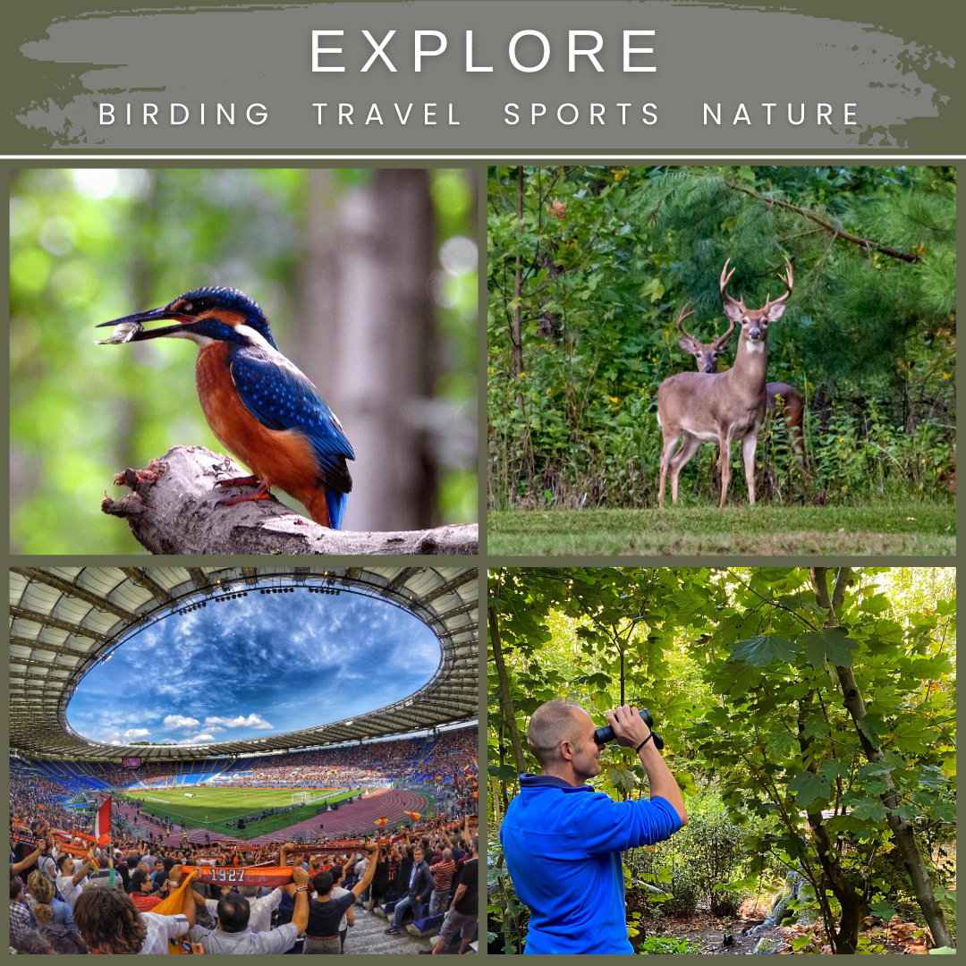 EXPLORER 20x42 HD Zoom Monocular Telescope