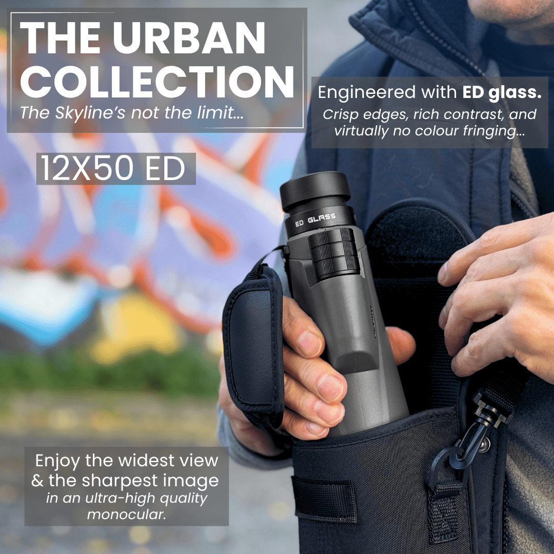 FOLLOWER 12x50 ED Monocular in Urban Grey - Pursual