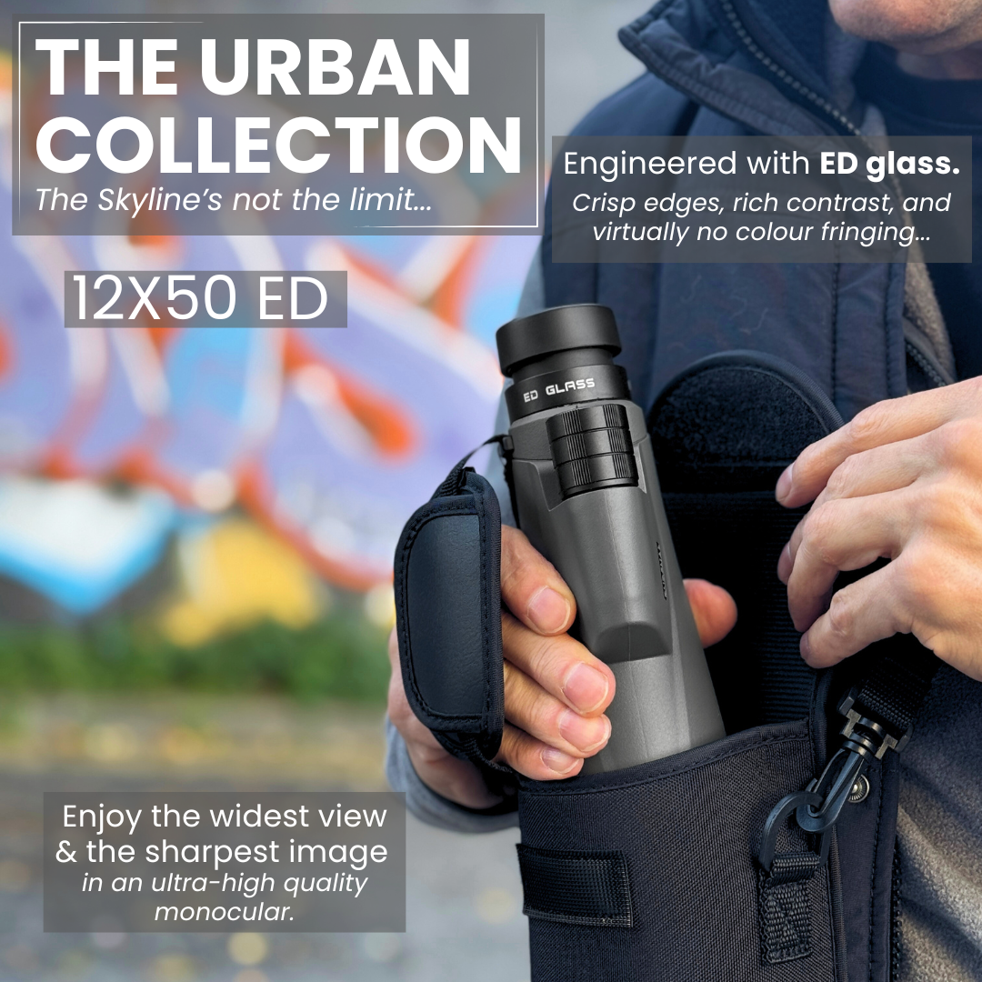 FOLLOWER 12x50 ED Monocular in Urban Grey