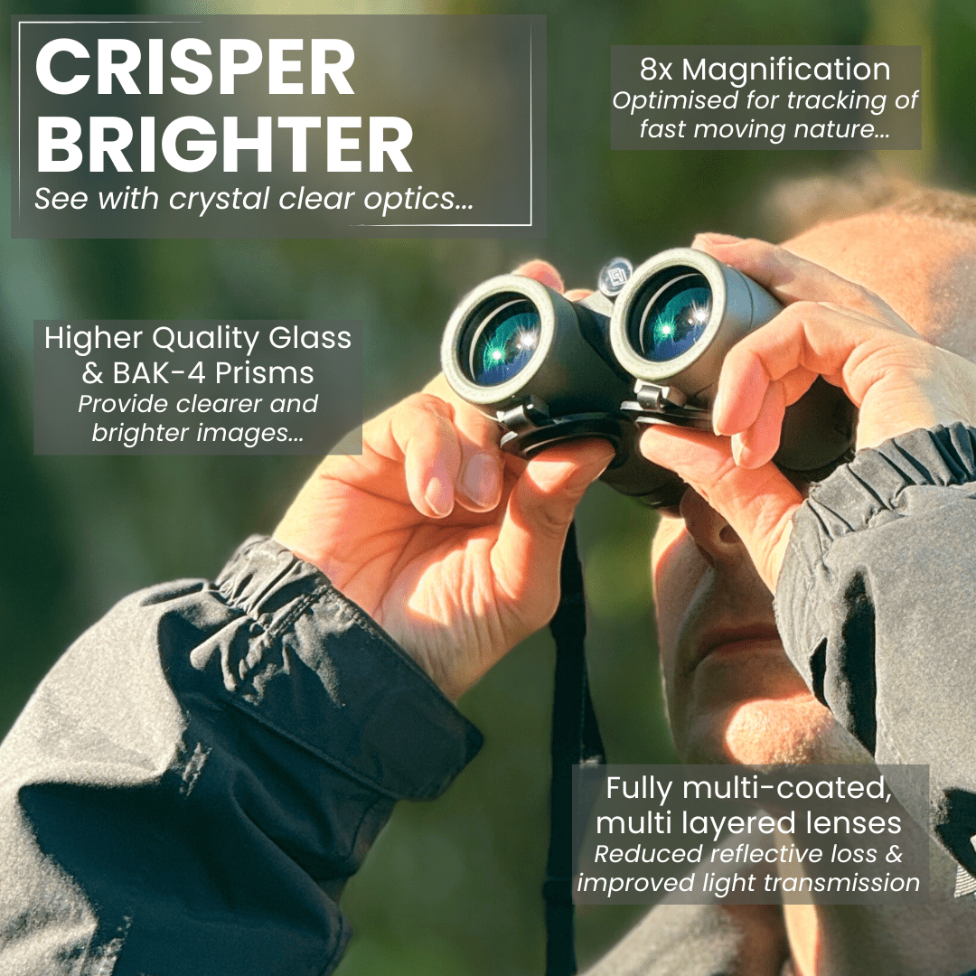 PROTOBIRD 8x32 HD Binoculars in Woodland Khaki - Pursual