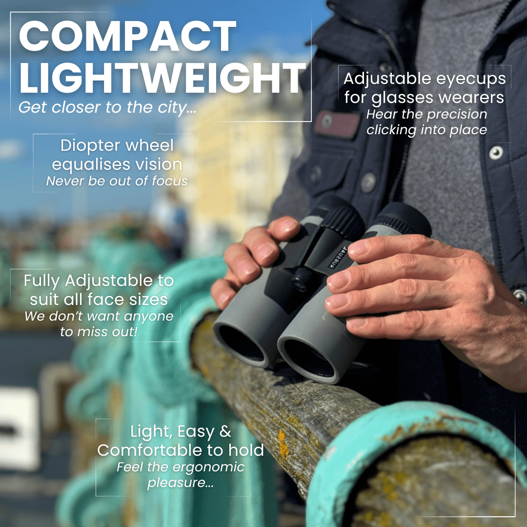 PROTOBIRD 10x42 HD Binoculars in Urban Grey - Pursual