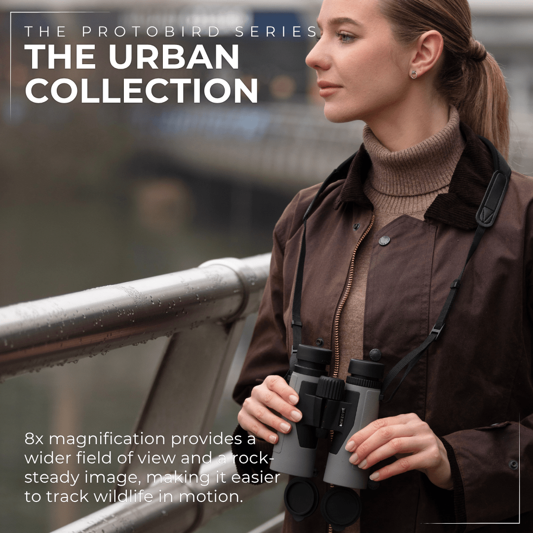 PROTOBIRD 8x42 HD Binoculars in Urban Grey - Pursual