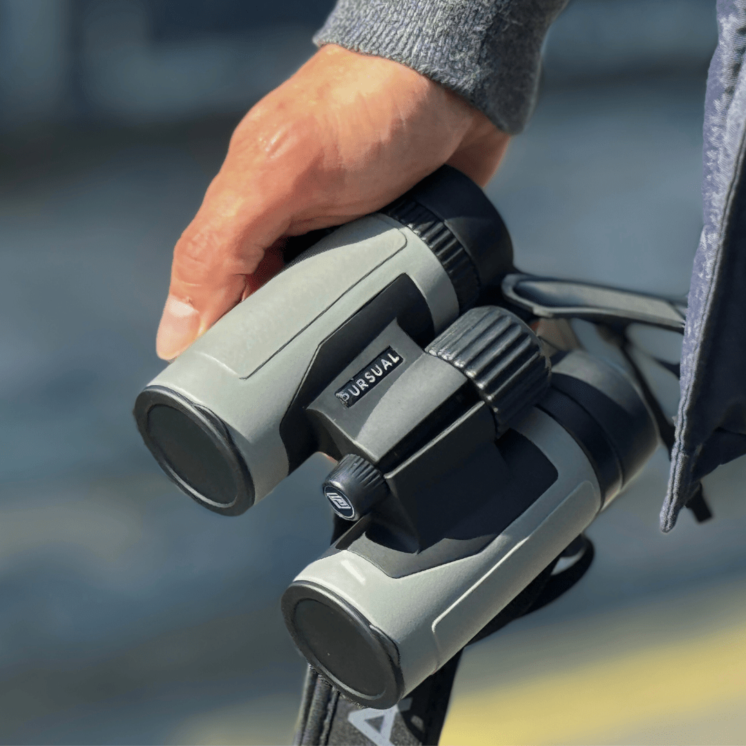 PROTOBIRD 8x32 HD Binoculars in Urban Grey - Pursual
