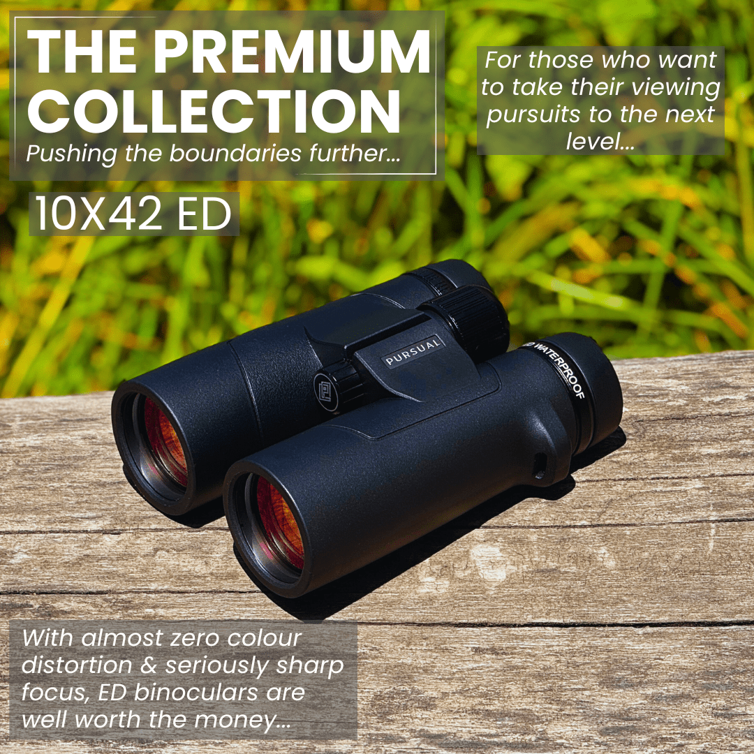 ECHOBIRD 10x42 ED Binoculars - Pursual
