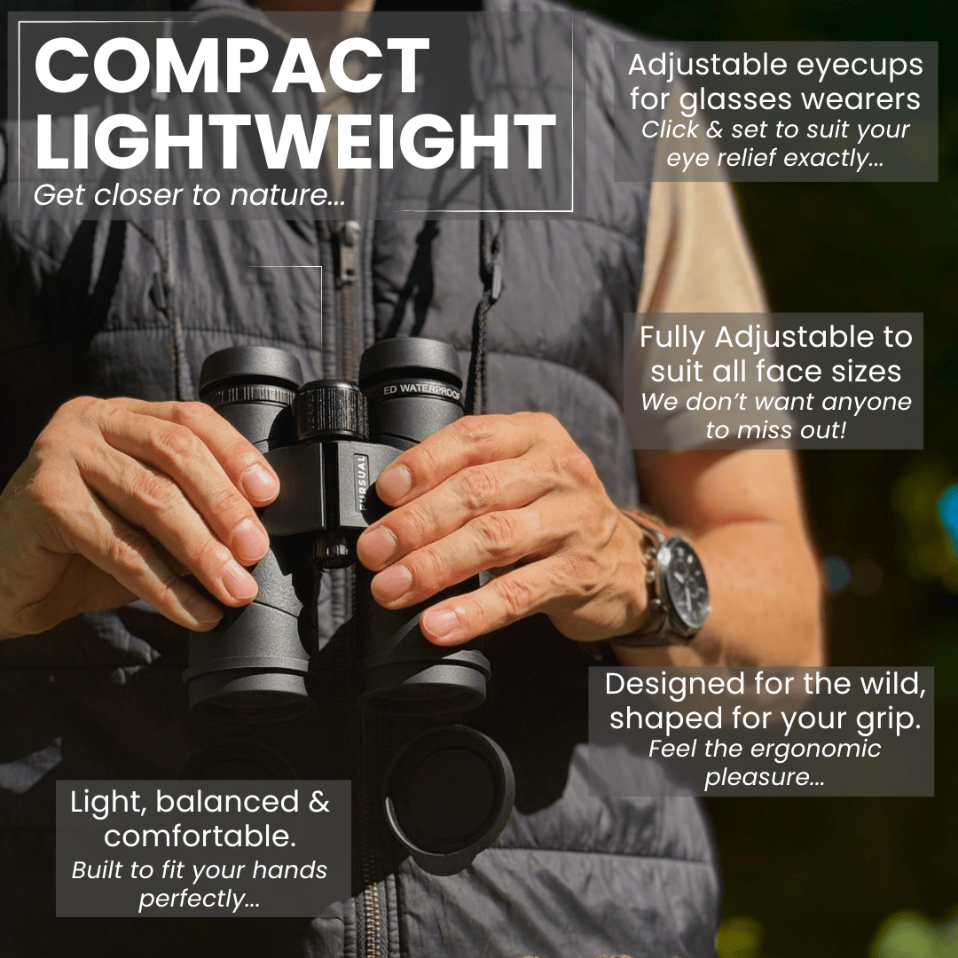 ECHOBIRD 10x42 ED Binoculars - Pursual