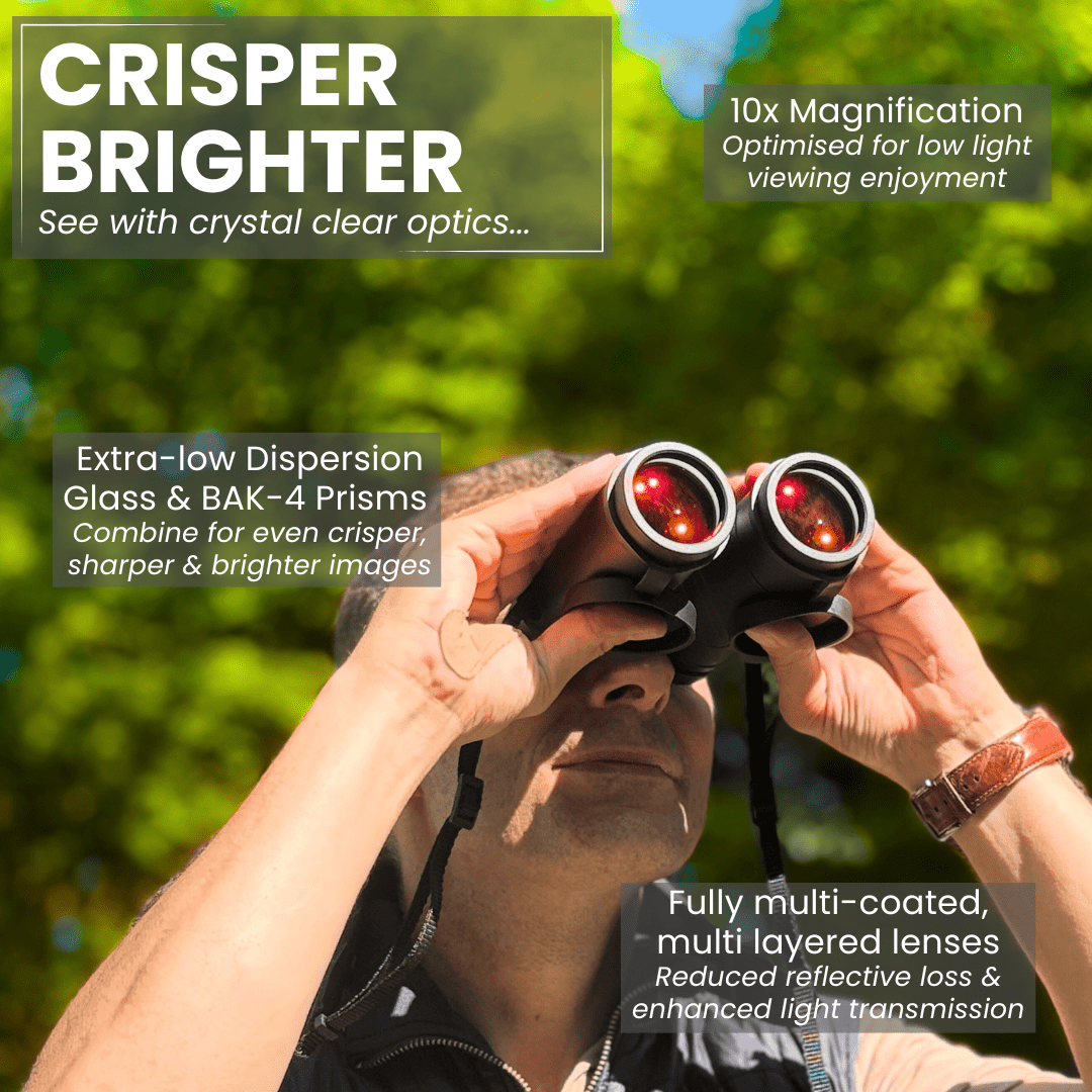 ECHOBIRD 10x42 ED Binoculars - Pursual