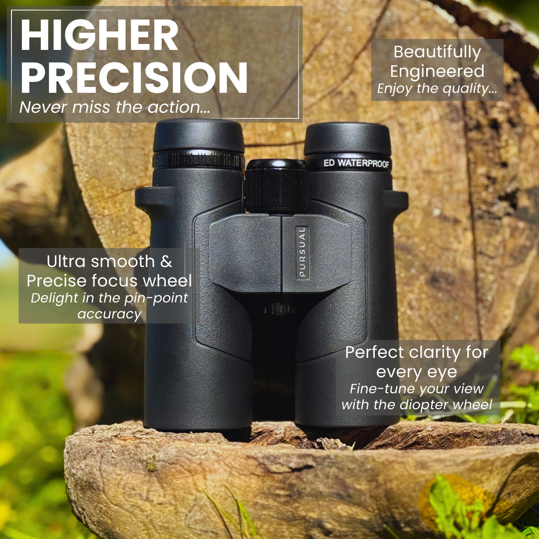 ECHOBIRD 10x42 ED Binoculars