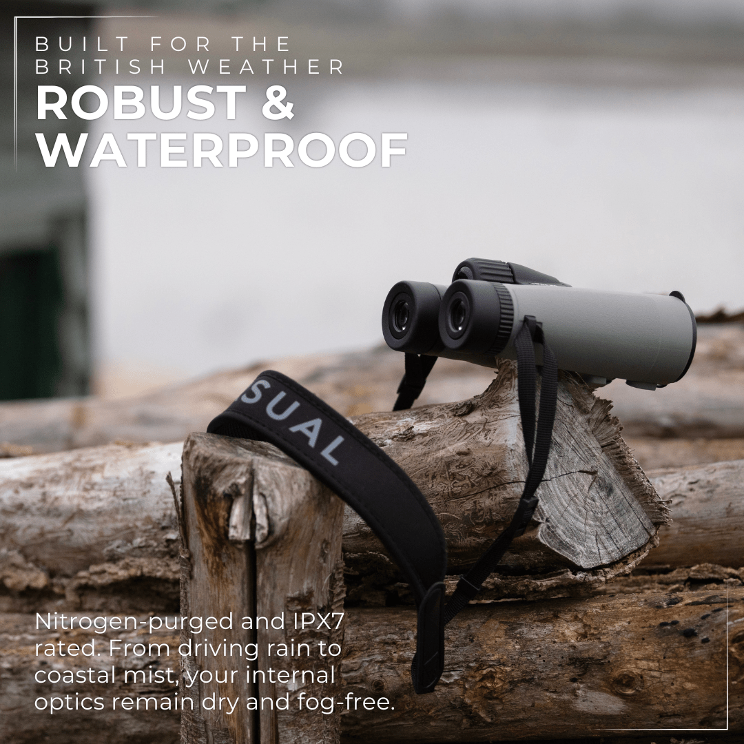 PROTOBIRD 8x42 HD Binoculars in Urban Grey - Pursual