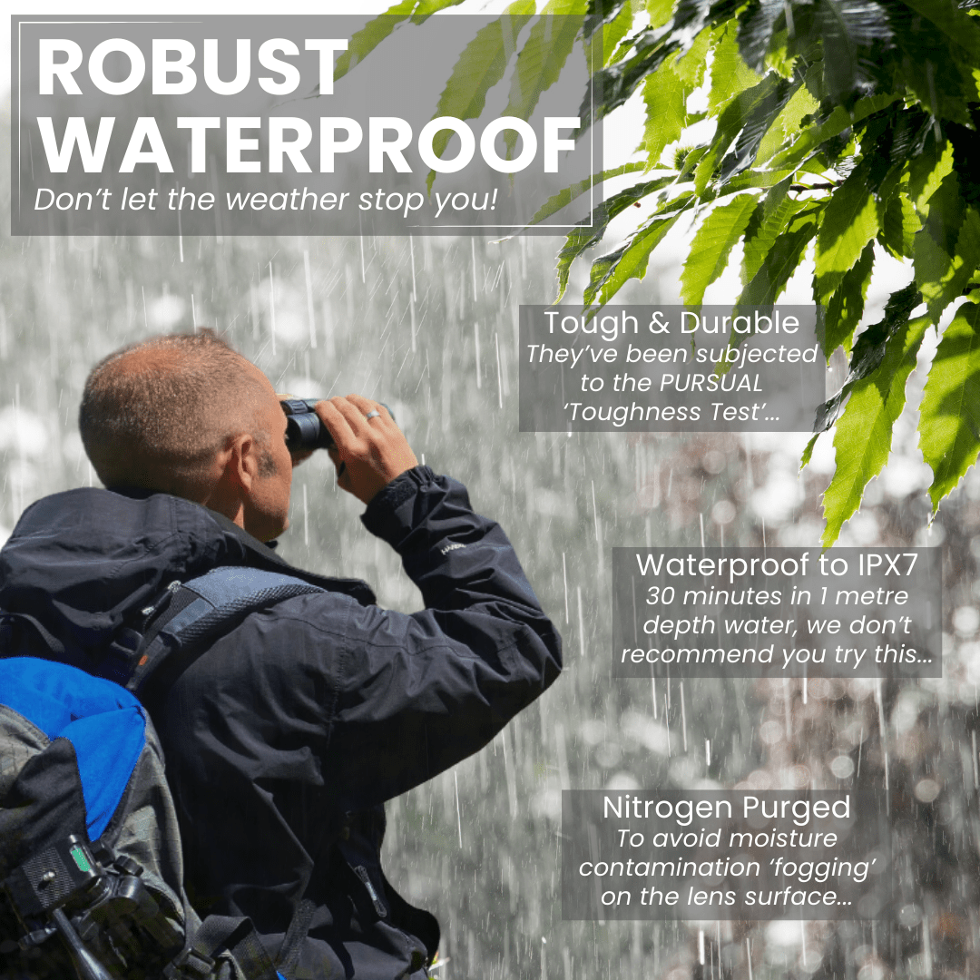 ECHOBIRD 10x42 ED Binoculars - Pursual