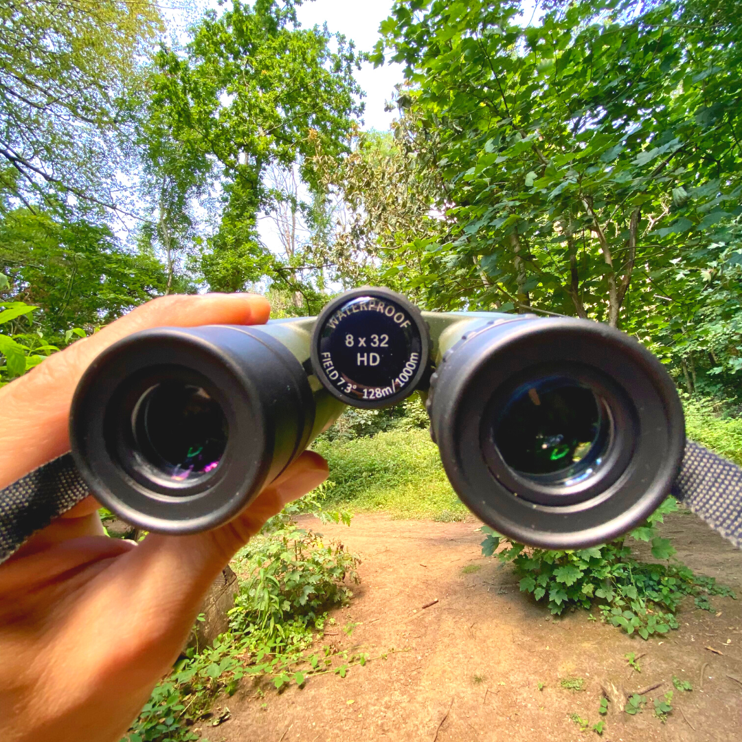 FOREFRONT 8x32 HD Binoculars in Forest Green