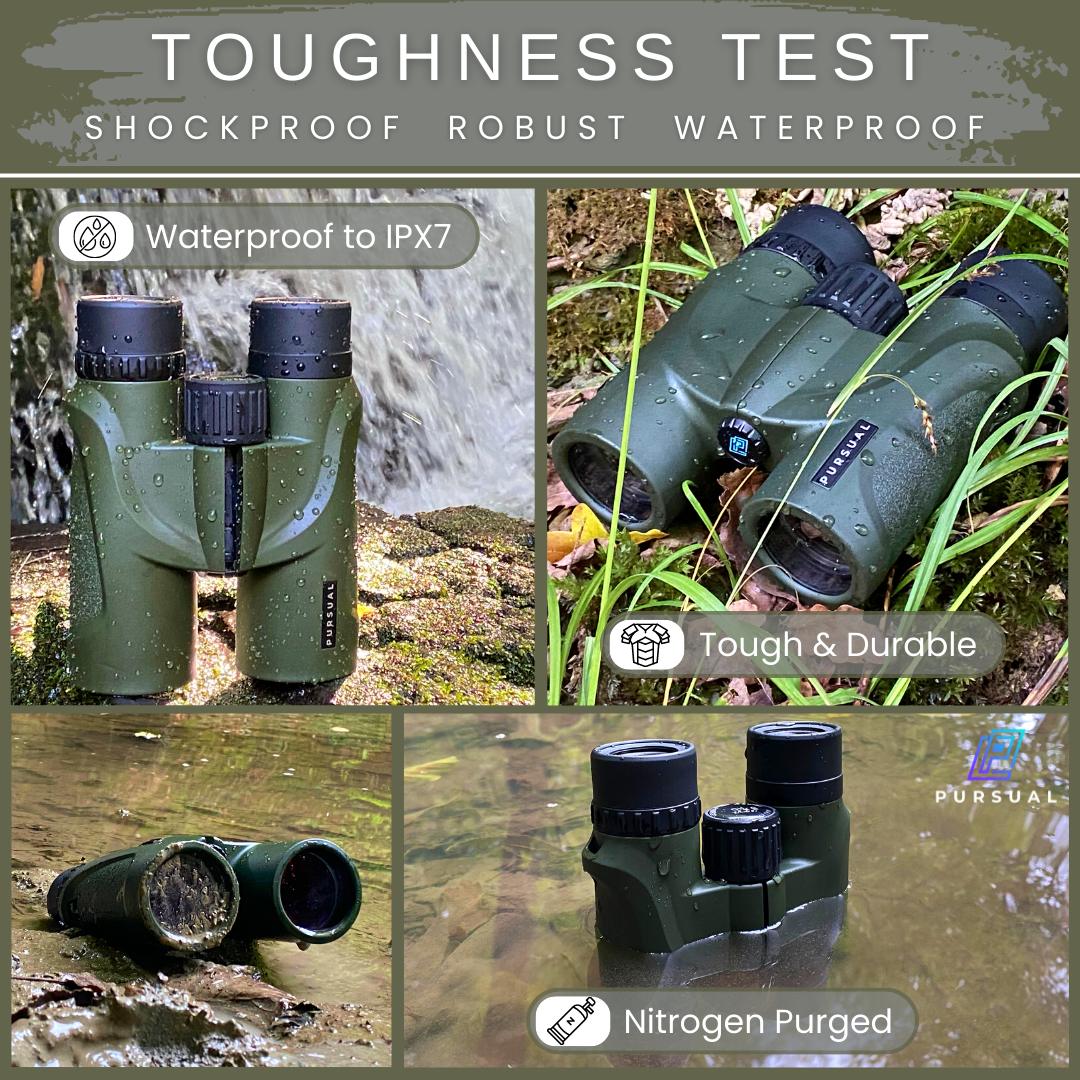 FOREFRONT 10x42 HD Binoculars in Forest Green