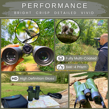 Best 8x32 best sale binoculars for hunting